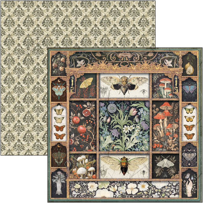Ciao Bella - Cabinet Of Curiosities - Paper Pad 8"x8"