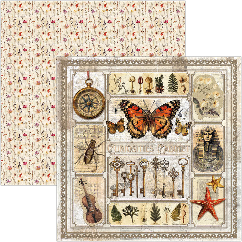 Ciao Bella - Cabinet Of Curiosities - Paper Pad 8"x8"
