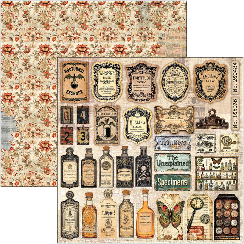 Ciao Bella - Cabinet Of Curiosities - Paper Pad 8"x8"