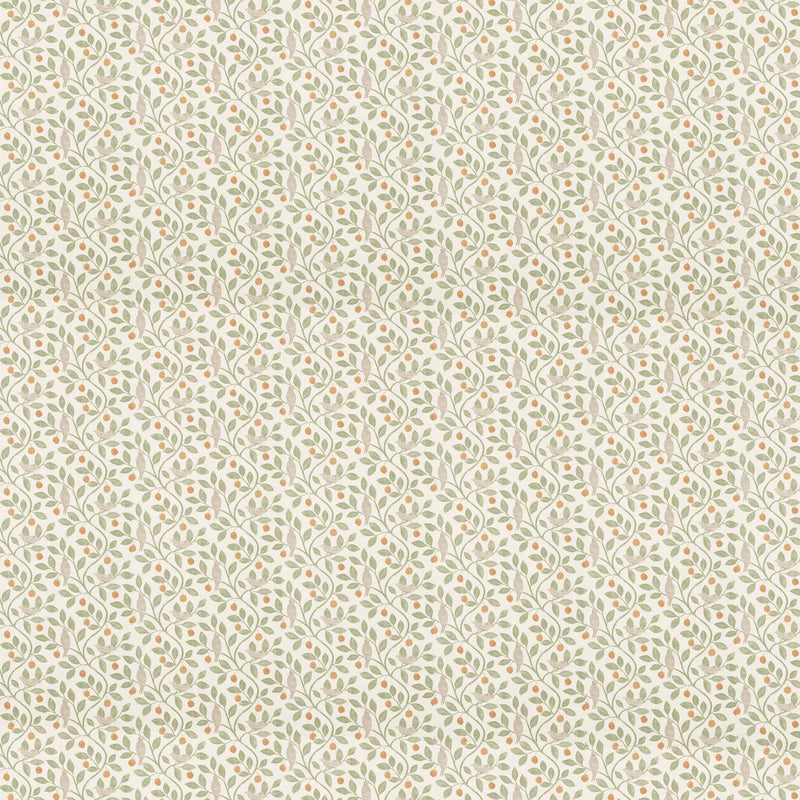 Ciao Bella - Typographic - Paper Pad 8"x8"
