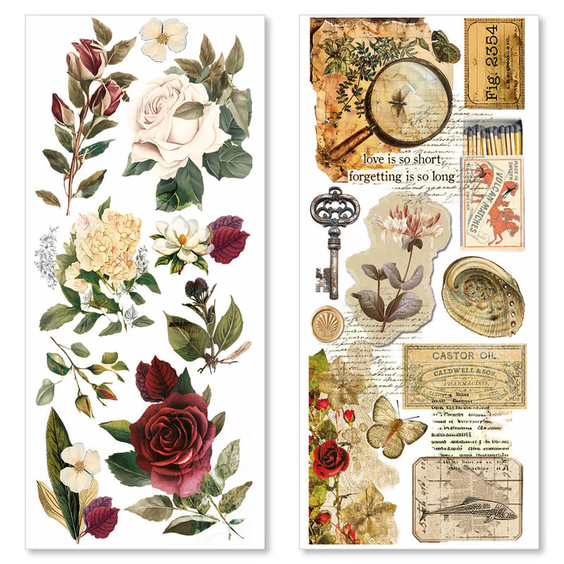 Ciao Bella - Cabinet Of Curiosities - Transparent Adhesive Sheets