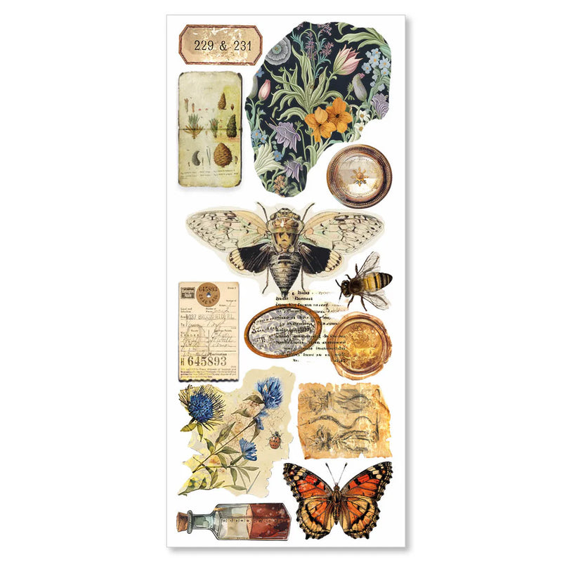 Ciao Bella - Cabinet Of Curiosities - Transparent Adhesive Sheets