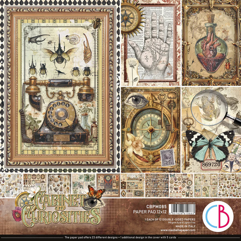 Ciao Bella - Cabinet Of Curiosities - Paper Pad 12"x12"