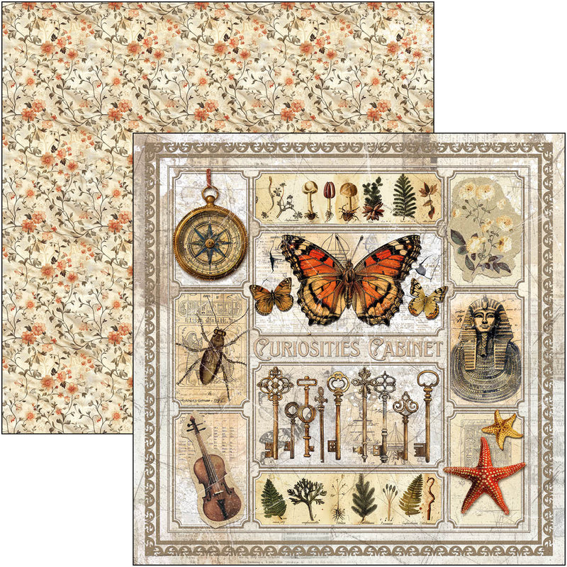 Ciao Bella - Cabinet Of Curiosities - Paper Pad 12"x12"