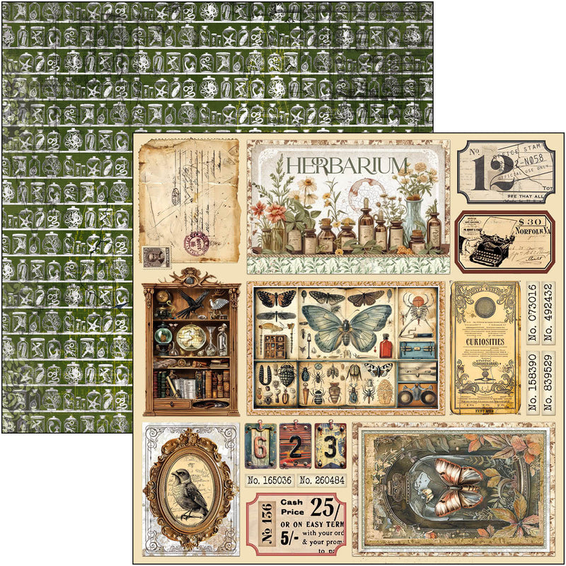 Ciao Bella - Cabinet Of Curiosities - Paper Pad 12"x12"