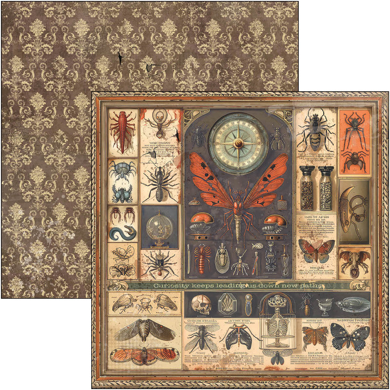Ciao Bella - Cabinet Of Curiosities - Paper Pad 12"x12"