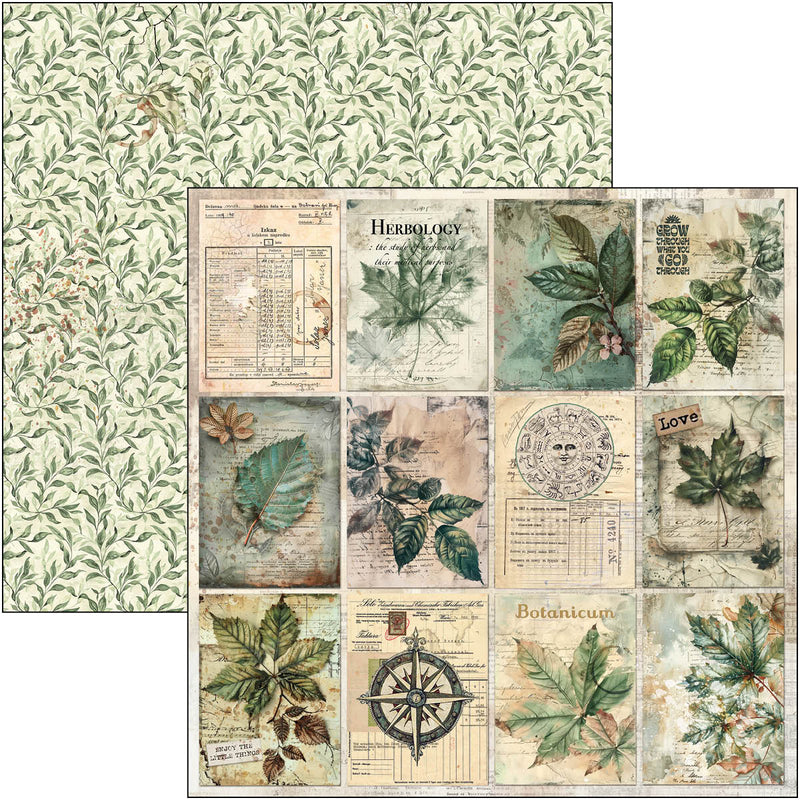 Ciao Bella - Cabinet Of Curiosities - Paper Pad 12"x12"