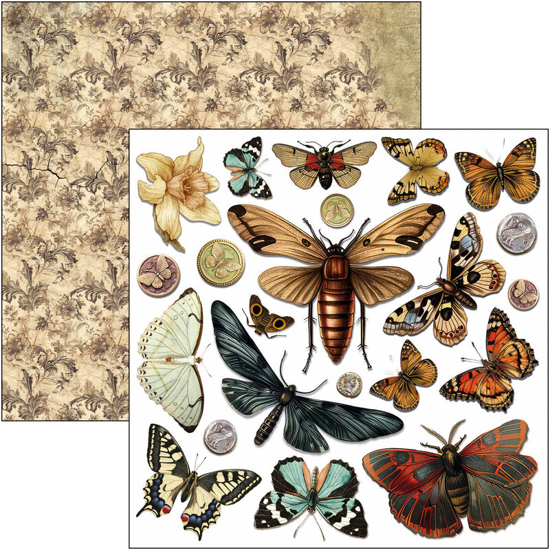 Ciao Bella - Cabinet Of Curiosities - 6x6 Fussy Cut Pad