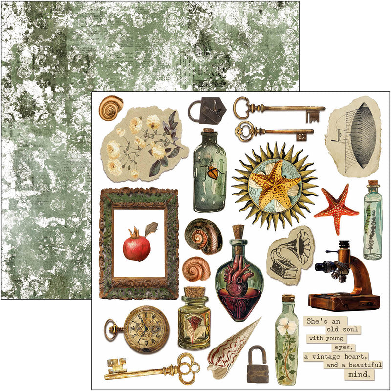 Ciao Bella - Cabinet Of Curiosities - 6x6 Fussy Cut Pad