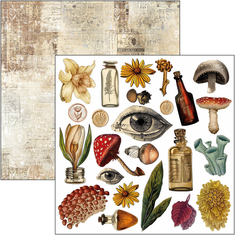 Ciao Bella - Cabinet Of Curiosities - 6x6 Fussy Cut Pad