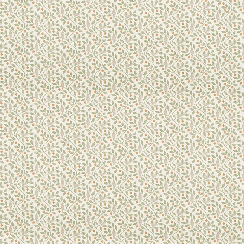 Ciao Bella - Typographic - Fussy Cut Pad 6"x6"