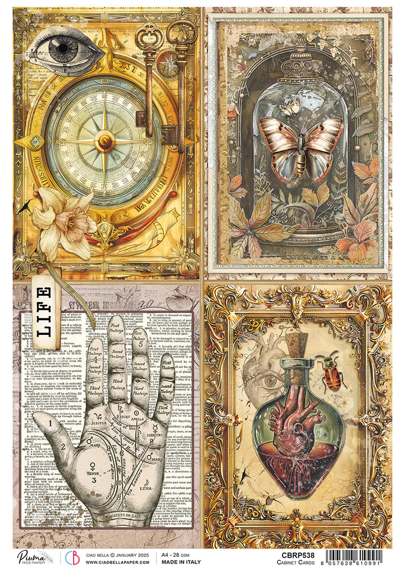 Ciao Bella - Cabinet Of Curiosities - Rice Paper - A4 Cabinet Cards