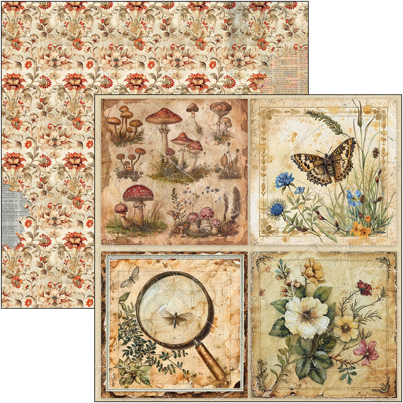 Ciao Bella - Cabinet Of Curiosities - Patterns Pad 12"x12"
