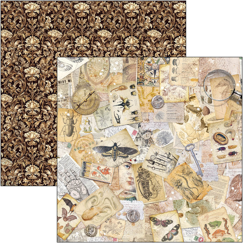 Ciao Bella - Cabinet Of Curiosities - Patterns Pad 12"x12"