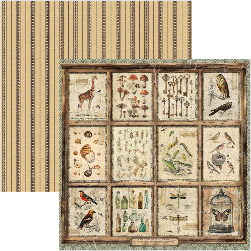 Ciao Bella - Cabinet Of Curiosities - Patterns Pad 12"x12"