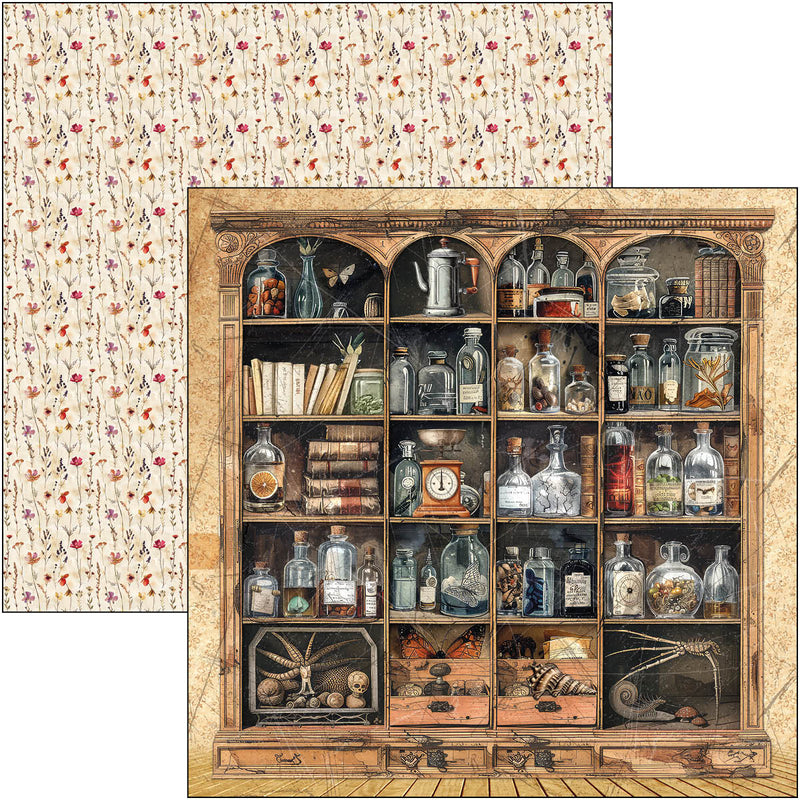 Ciao Bella - Cabinet Of Curiosities - Patterns Pad 12"x12"