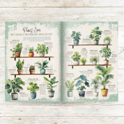 Daphne's Diary - 2026 - Number 1