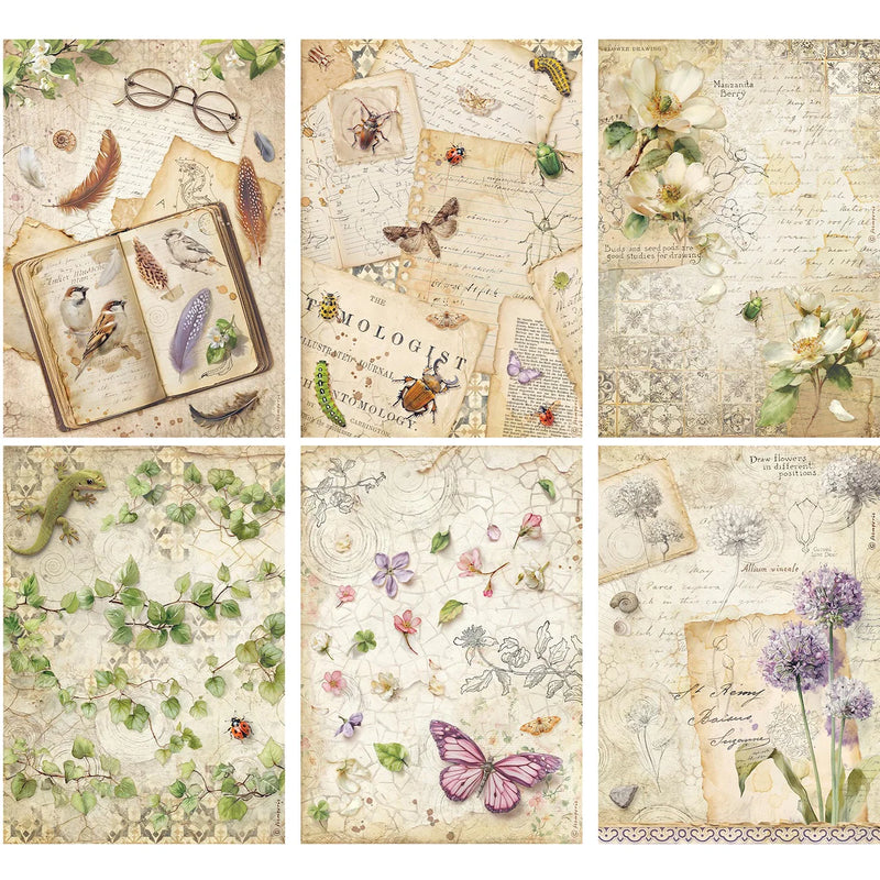 Stamperia - All Around - A4 Rice Paper - 6 Pack