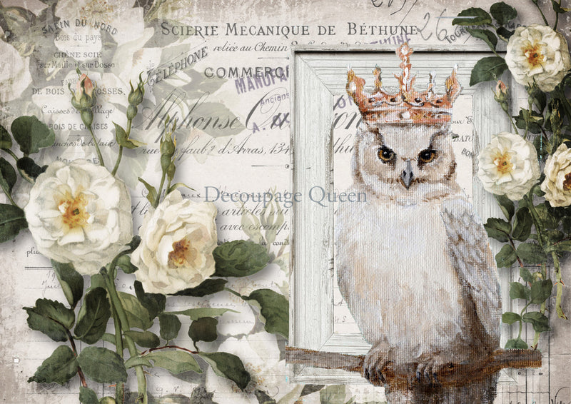 Decoupage Queen - Wise Friend Rice Paper