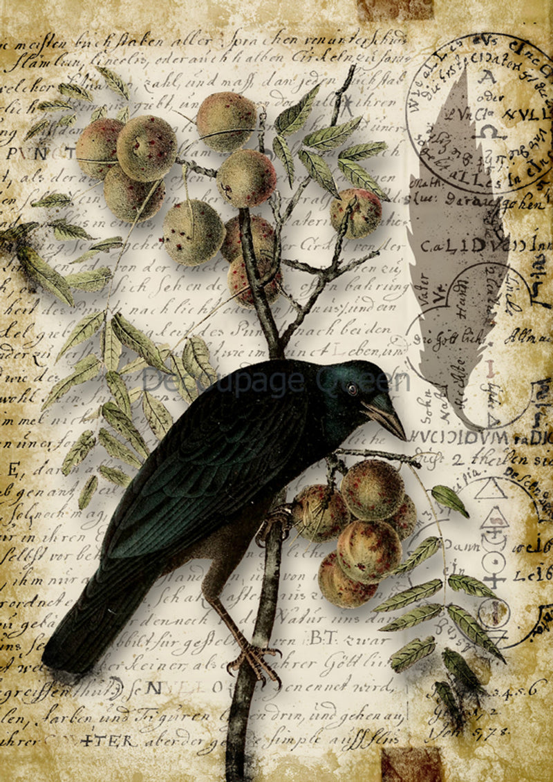 Decoupage Queen - Raven Grimoire III Rice Paper
