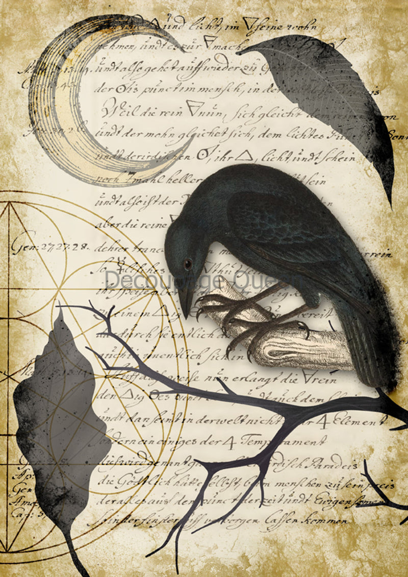 Decoupage Queen - Raven Grimoire IV Rice Paper