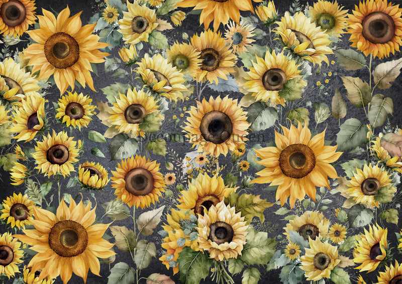 Decoupage Queen - Field of Sunflowers Vellum Paper