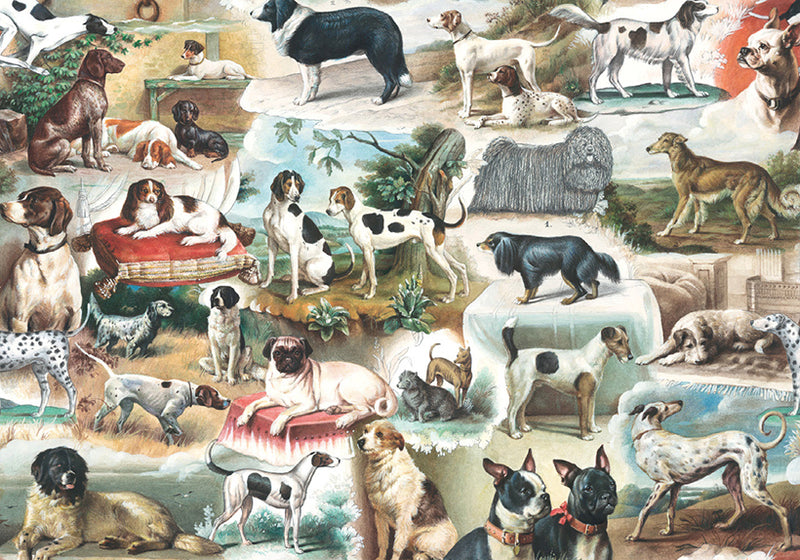 Bomo Art Paper - Wrapping Paper - Darling, the Dogs are Alright!