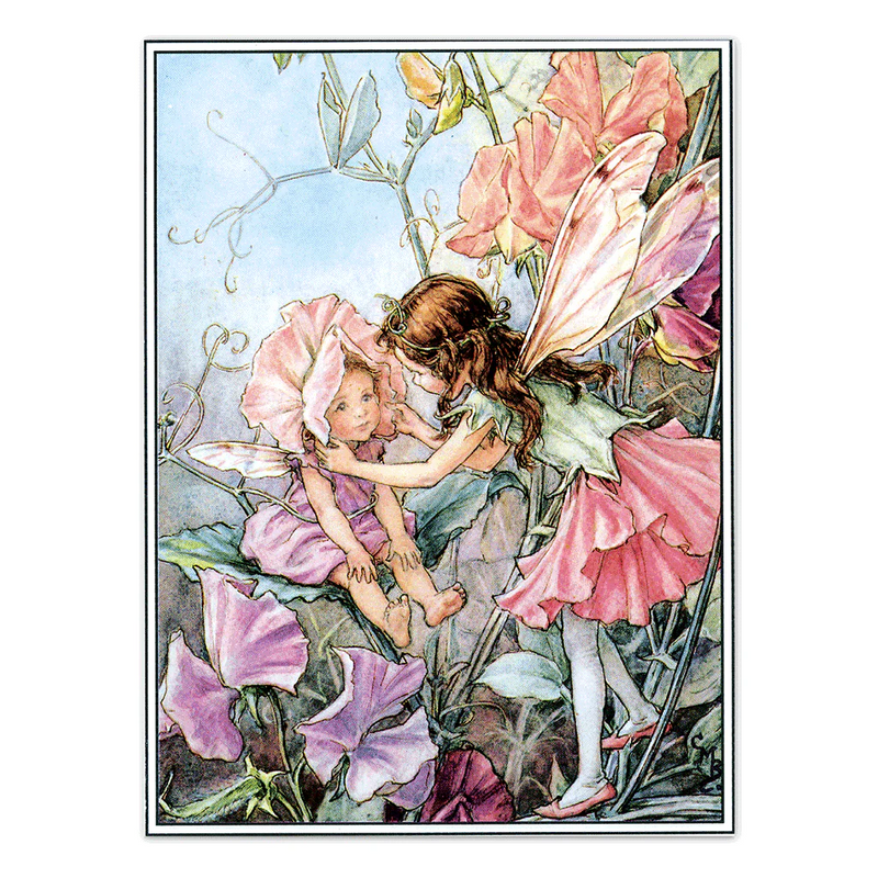 Laughing Elephant - Flower Fairies - Everyday Boxed Postcards