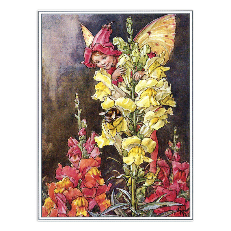 Laughing Elephant - Flower Fairies - Everyday Boxed Postcards