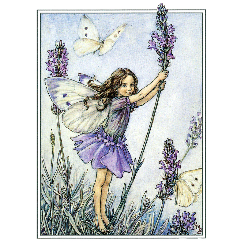 Laughing Elephant - Flower Fairies - Everyday Boxed Postcards