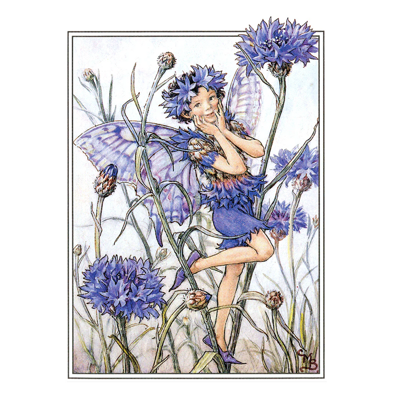 Laughing Elephant - Flower Fairies - Everyday Boxed Postcards