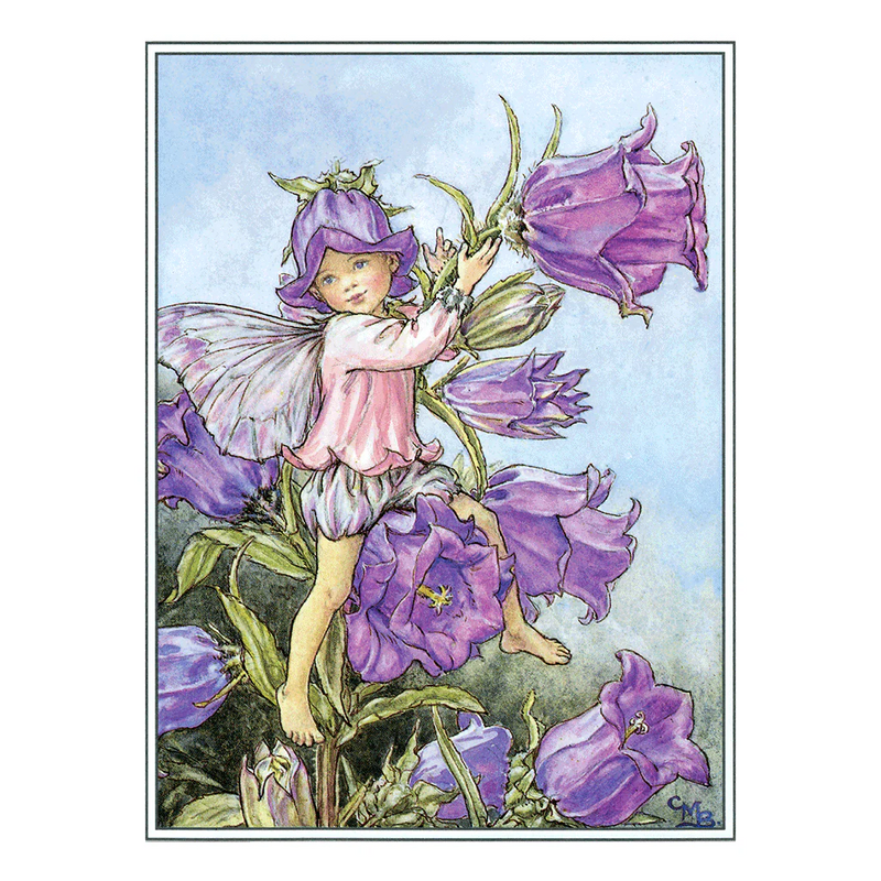 Laughing Elephant - Flower Fairies - Everyday Boxed Postcards
