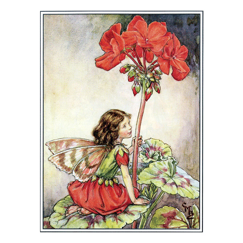 Laughing Elephant - Flower Fairies - Everyday Boxed Postcards