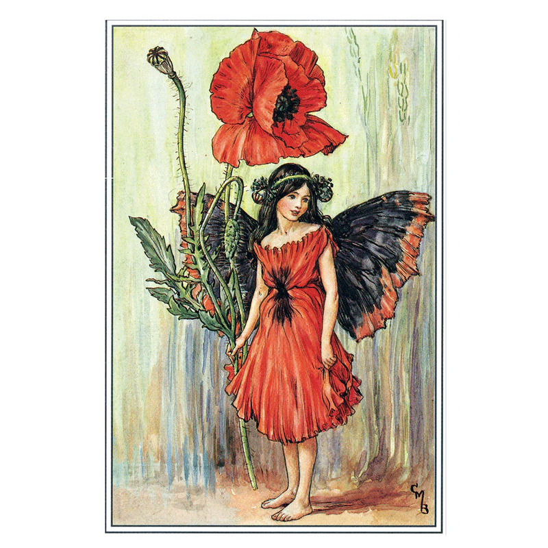 Laughing Elephant - Flower Fairies - Everyday Boxed Postcards