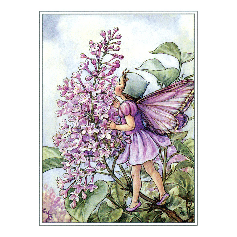 Laughing Elephant - Flower Fairies - Everyday Boxed Postcards