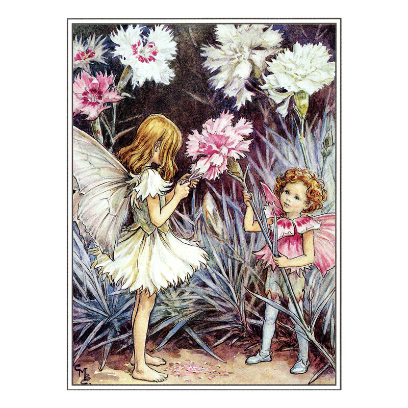 Laughing Elephant - Flower Fairies - Everyday Boxed Postcards