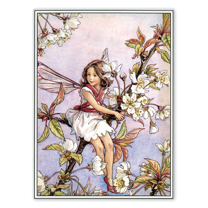 Laughing Elephant - Flower Fairies - Everyday Boxed Postcards