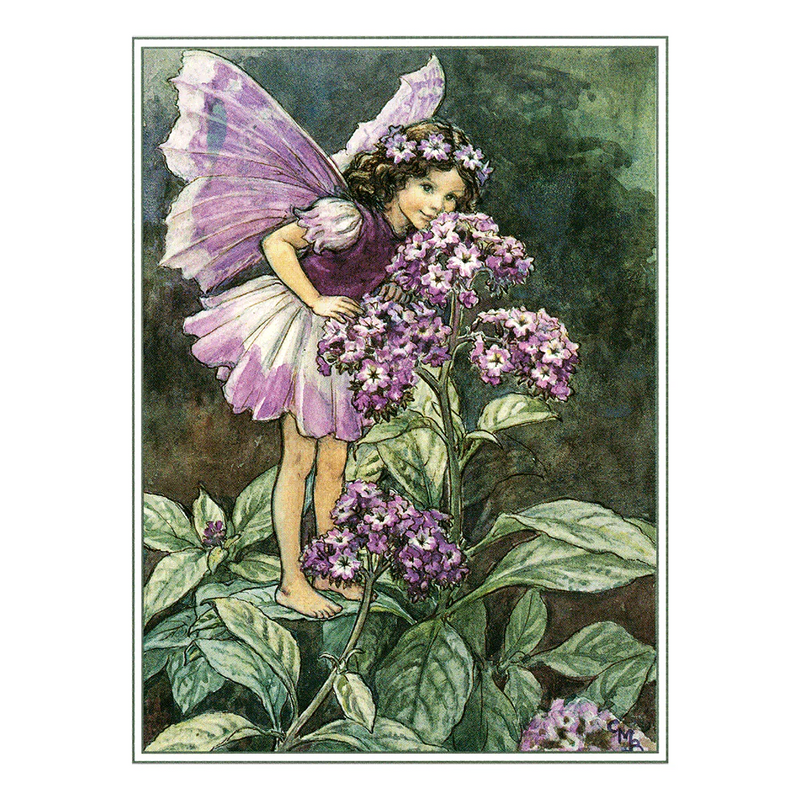 Laughing Elephant - Flower Fairies - Everyday Boxed Postcards