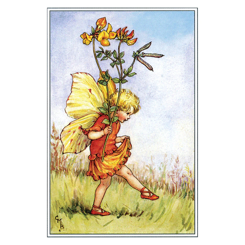 Laughing Elephant - Flower Fairies - Everyday Boxed Postcards