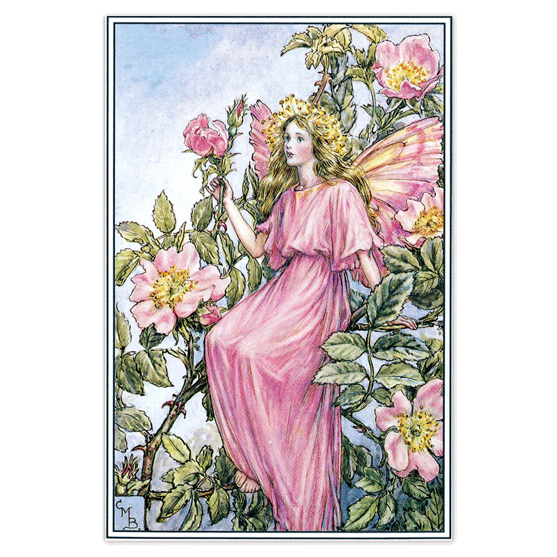 Laughing Elephant - Flower Fairies - Everyday Boxed Postcards