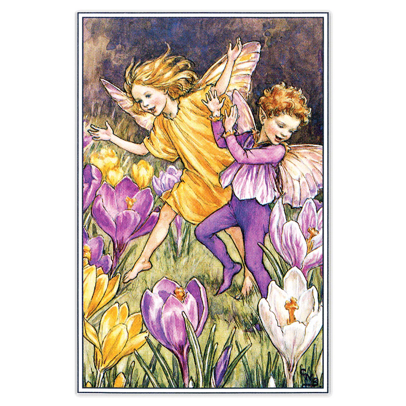 Laughing Elephant - Flower Fairies - Everyday Boxed Postcards
