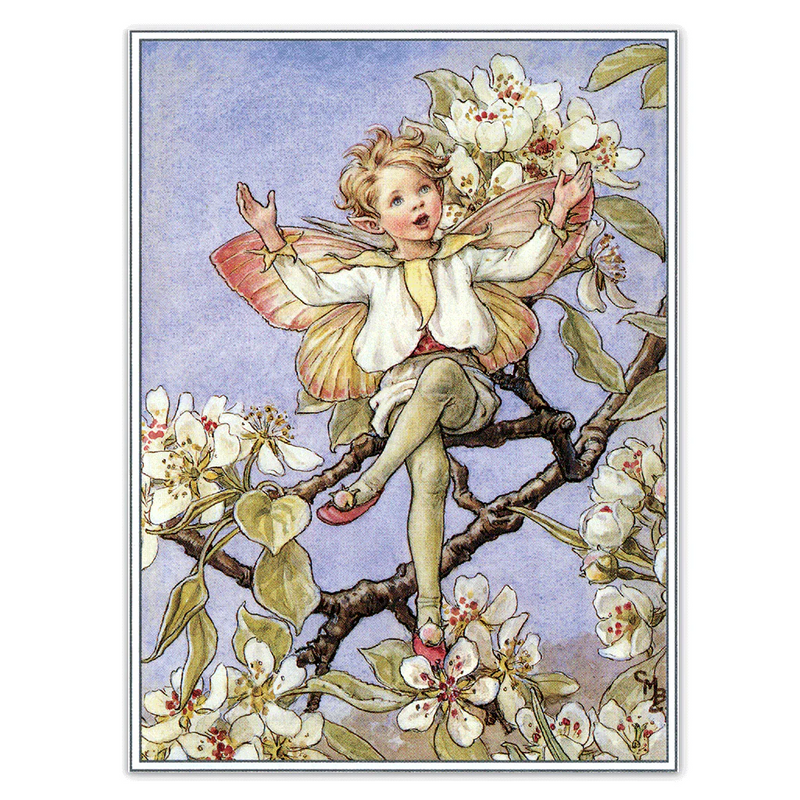 Laughing Elephant - Flower Fairies - Everyday Boxed Postcards