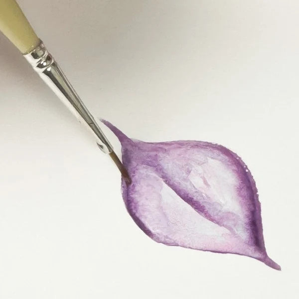 Lavinia - Brush - Detailing Brush 1cm 0.5cm 2/0