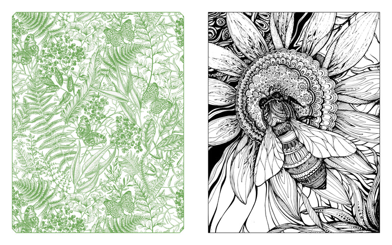 Chartwell Books - Butterflies, Bees & Dragonflies Coloring Book