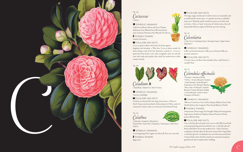 S. Theresa Dietz - Complete Language Of Flowers