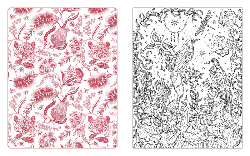 Chartwell Books - Butterflies, Bees & Dragonflies Coloring Book