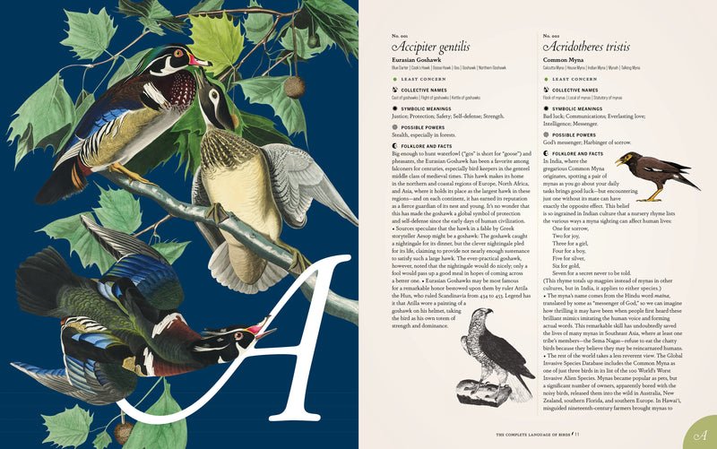 Randi Minetor - Complete Language Of Birds