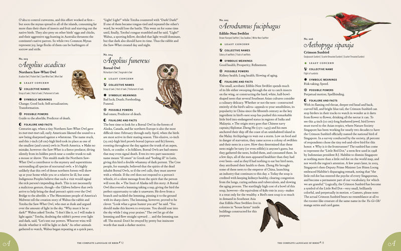 Randi Minetor - Complete Language Of Birds