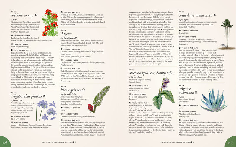 S. Theresa Dietz - Complete Language Of Herbs