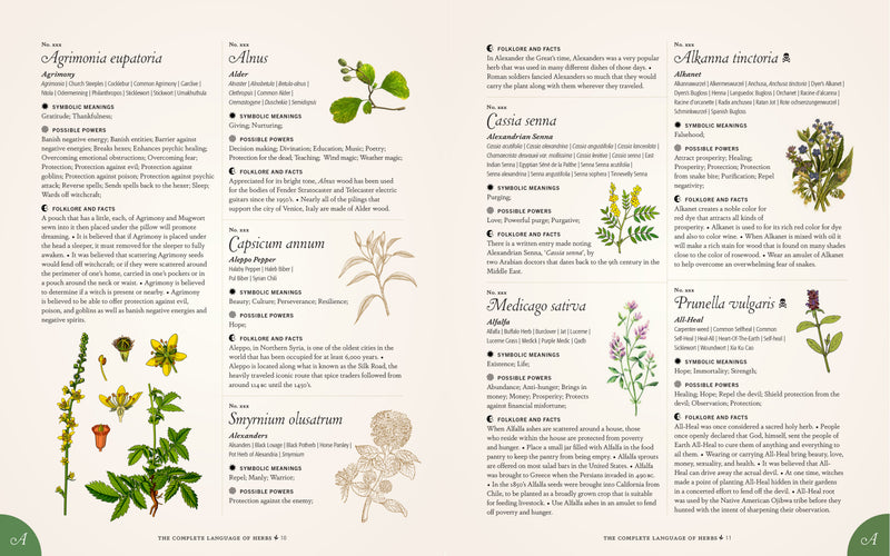 S. Theresa Dietz - Complete Language Of Herbs